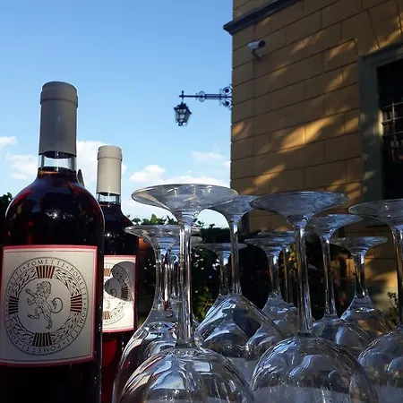 索奇尼别墅旅馆 3*